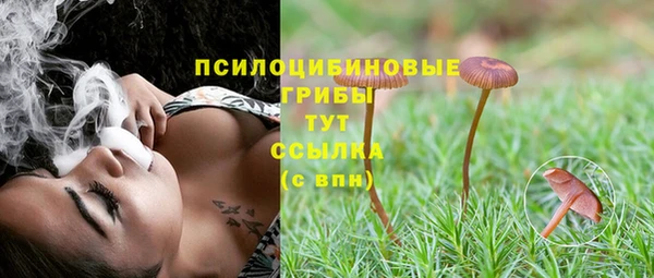 молекула духа Абаза