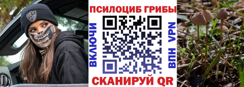 хочу наркоту  кракен ссылки  Псилоцибиновые грибы мицелий  Костерёво 