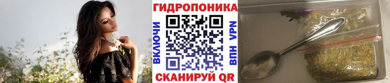 Бошки марихуана марихуана  KRAKEN вход  Костерёво 